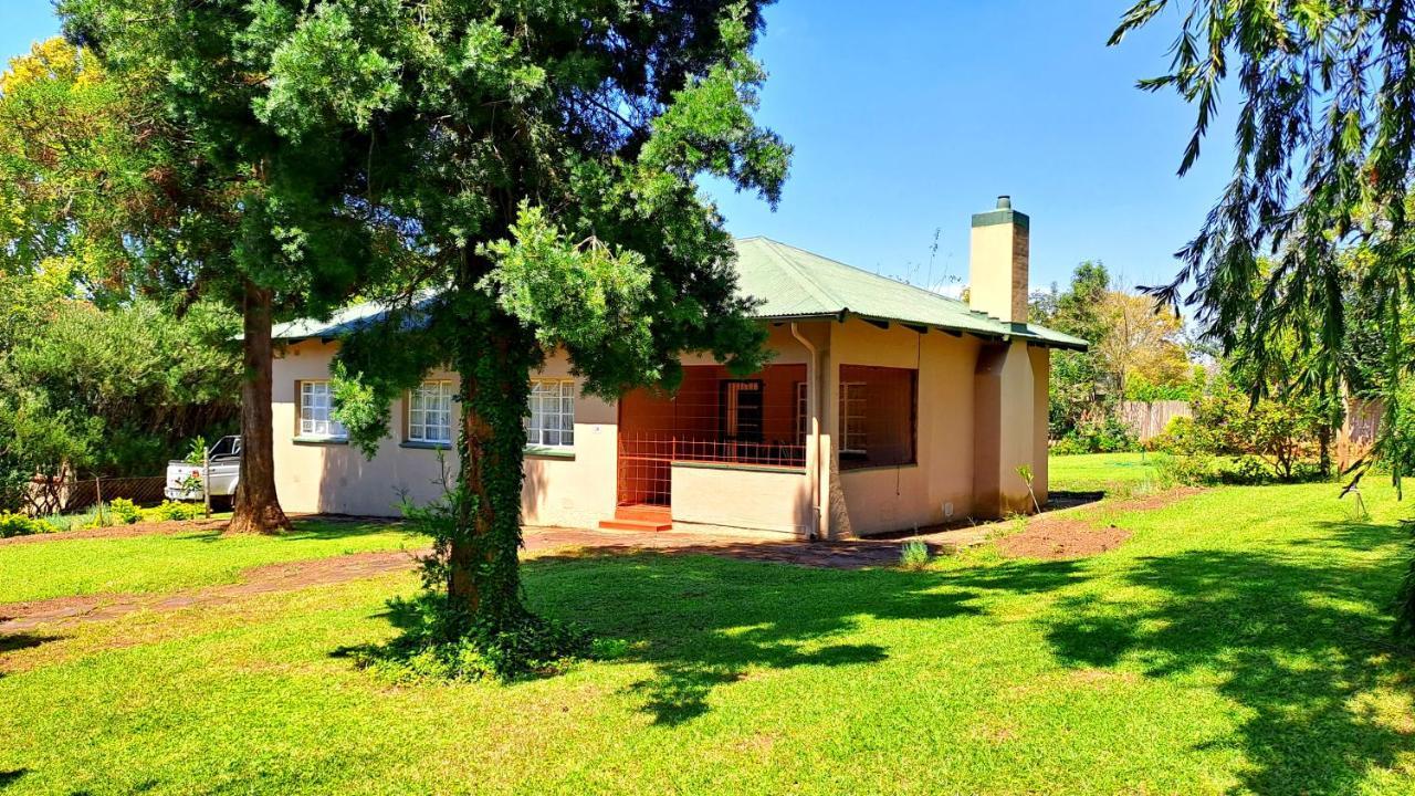 Pine Forest Cottage 사비 외부 사진